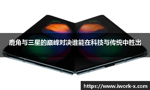 星空·综合体育官网入口