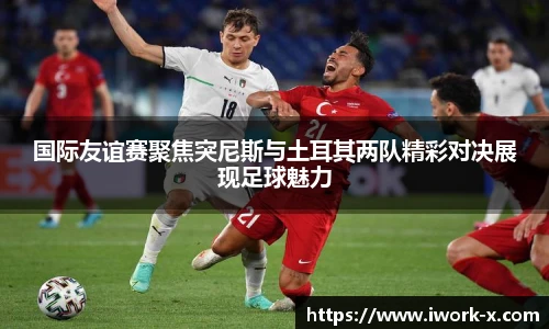 星空体育平台官网入口